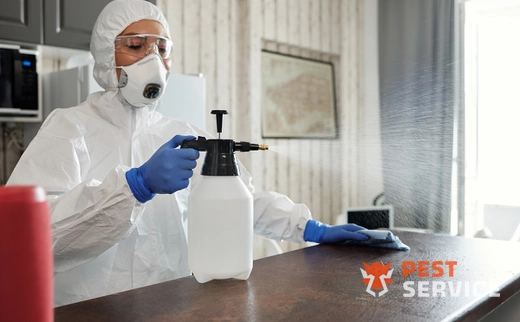 Дезинфекция в Раменском