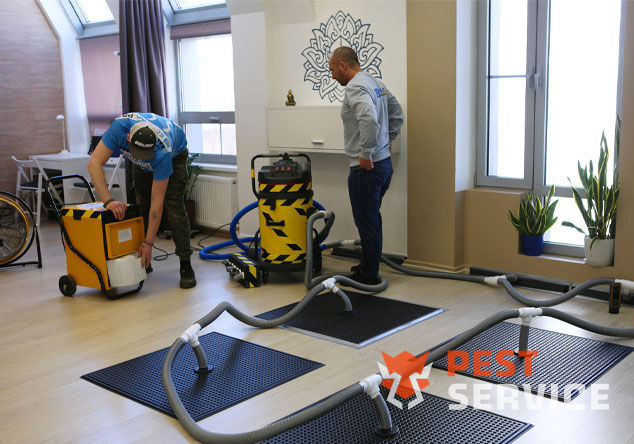 Профессиональная сушка после потопа в Раменском от 3000 руб. Быстро устраняем влагу, предотвращаем плесень и повреждения. Современное оборудование и опытные специалисты. Безопасно и эффективно.